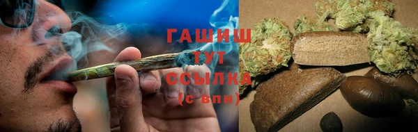 mdpv Бородино