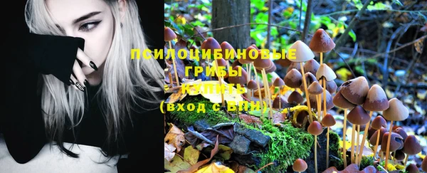 ECSTASY Бугульма