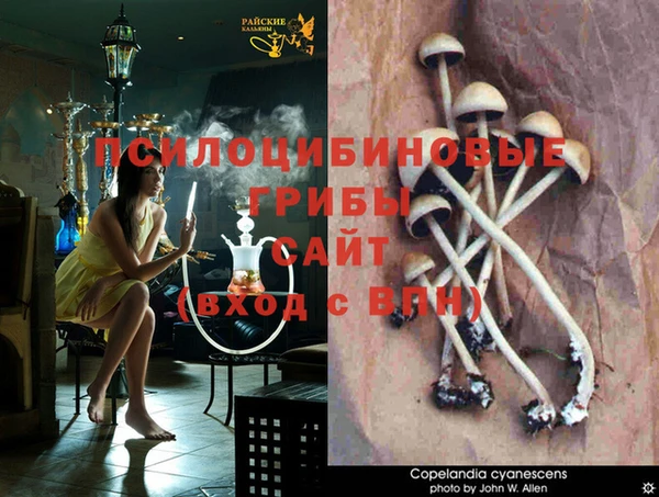 прущие крисы Богородицк