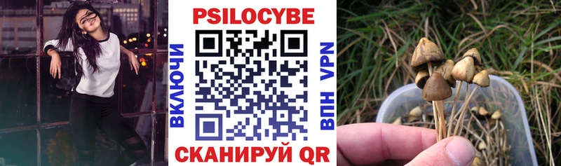 где продают   mega как зайти  Псилоцибиновые грибы мухоморы  Керчь 